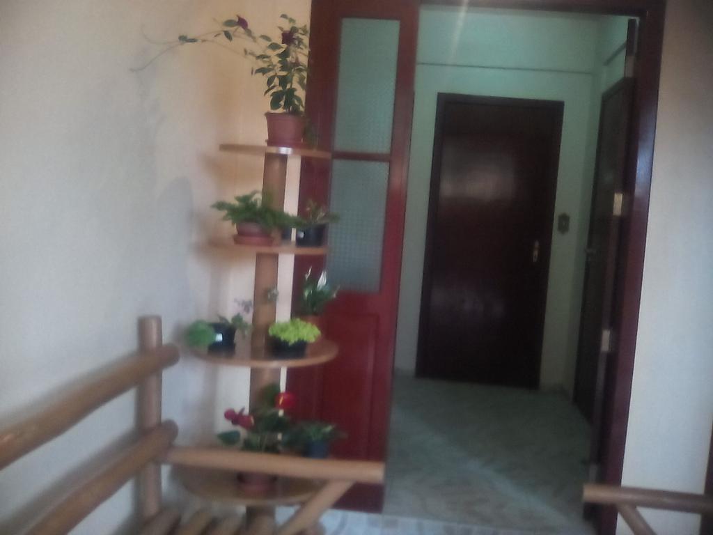 Residencial Dona Vilma Florianopolis Ngoại thất bức ảnh
